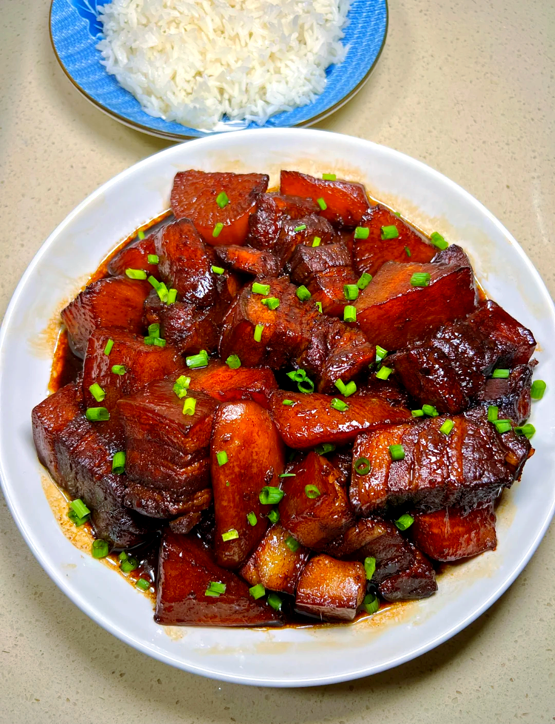萝卜炖猪肉的做法