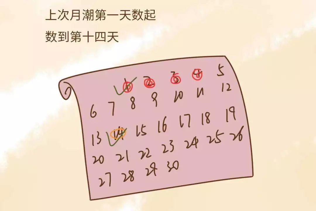 2017年一共有多少天